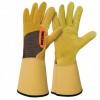 Gants PRO épines & ronces ROSTAING