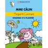 MME CALIN - Marguerite Commune graines