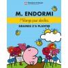 M. ENDORMI - Mélange pour abeilles graines