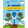 M. Grand - Tournesol Russian Giant graines