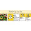 MME PETITE - Zinnia Cupid en mél graines