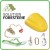 Kit accessoires forestier