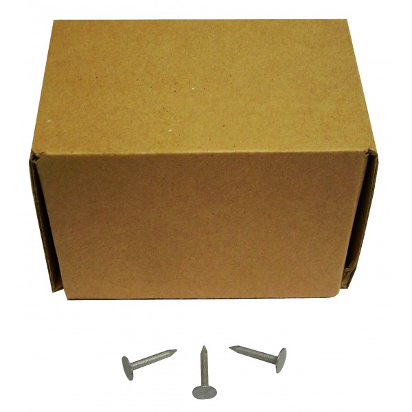 Clous galvanisés Ø2,5 20mm - 1KG